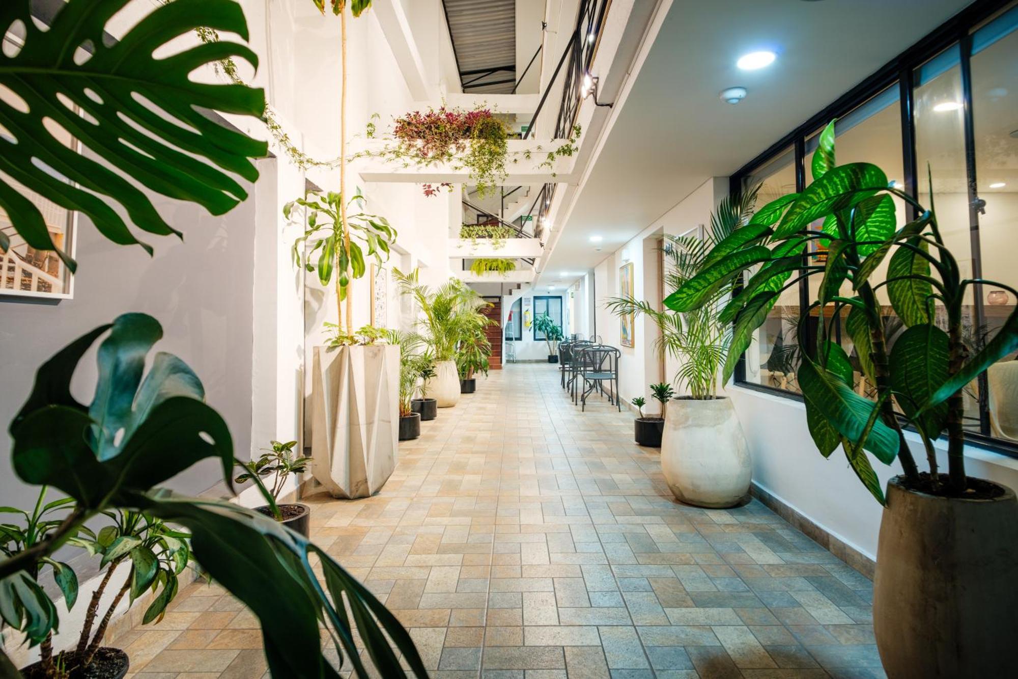 Palermo Home Bogota & Art Gallery — Photos 1